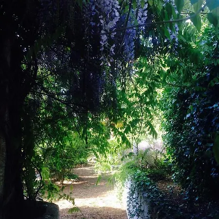 Villa Il Glicine